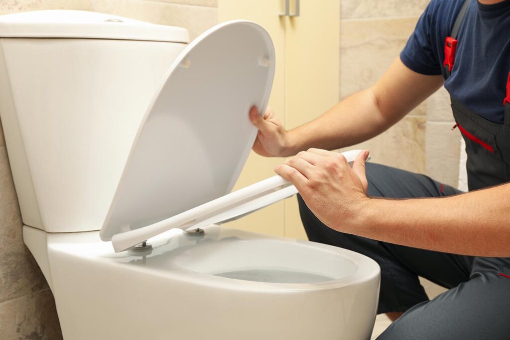 desatascos de inodoros del baño